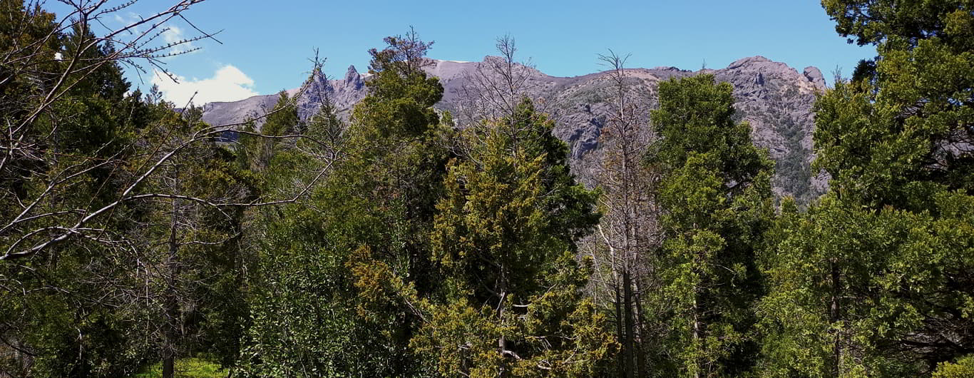 Casa Ciprés Bariloche - Alquiler turístico